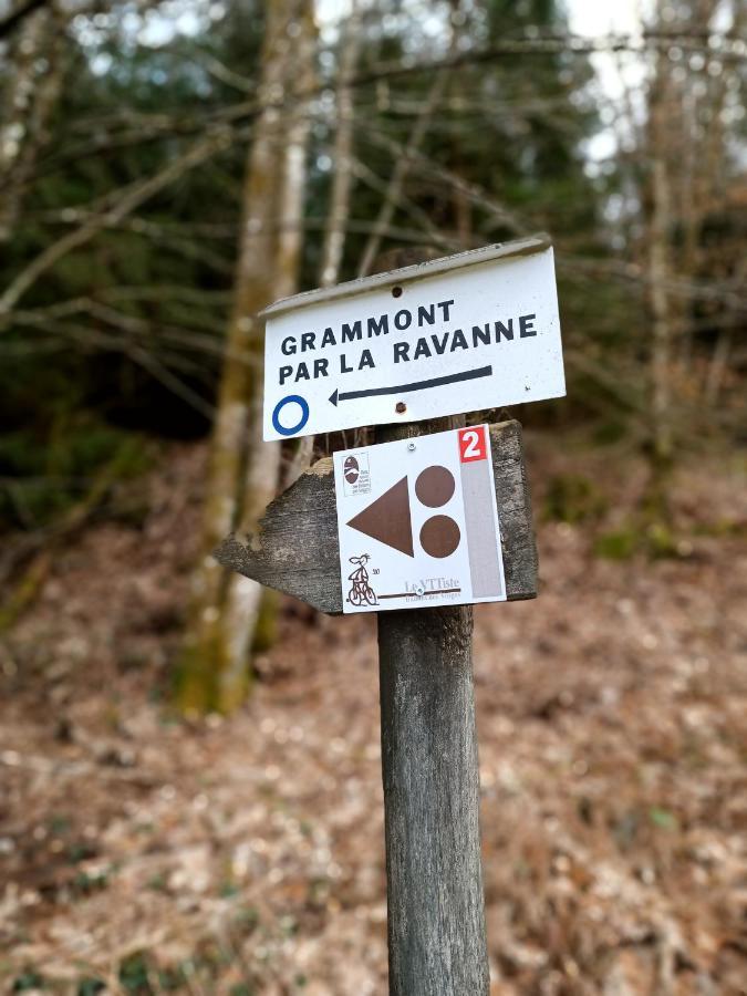 Gite De La Ravanne Ramonchamp Kültér fotó